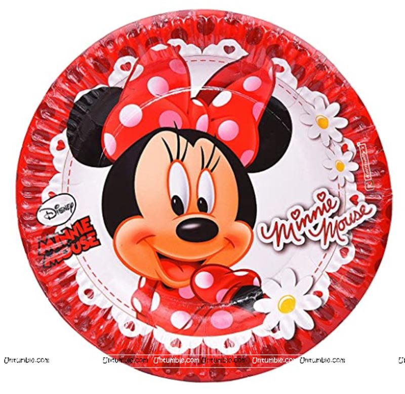 Food Table-Birthday Party Plates