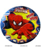 Spiderman Birthday Party Plate