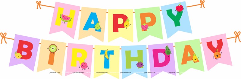 Party Venue Decor-Happy Birthday Banners