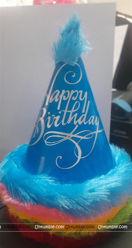 Party Props-Hats