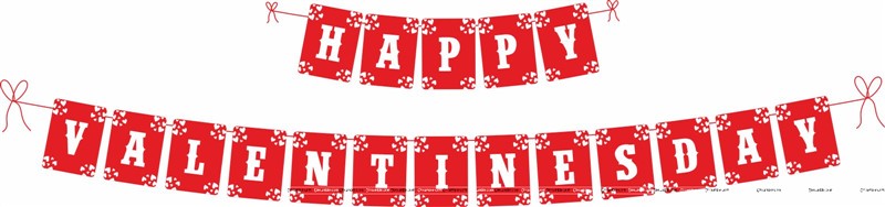 Party Venue Decor-Buntings
